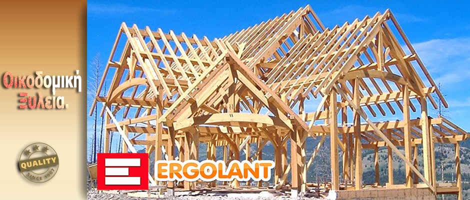 ΟΙΚΟΔΟΜΙΚΉ ΞΥΛΕΙΑ