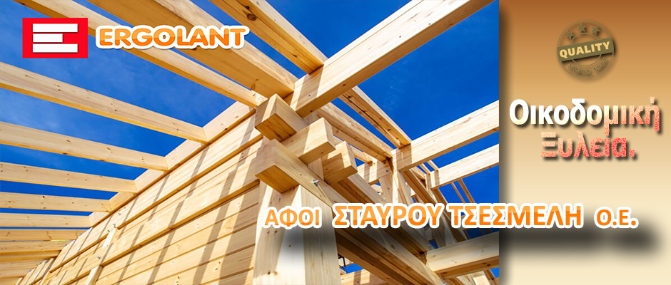 ΟΙΚΟΔΟΜΙΚΗ ΞΥΛΕΙΑ