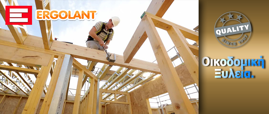ΟΙΚΟΔΟΜΙΚΗ ΞΥΛΕΙΑ